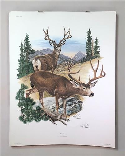 Art & Collectibles > Prints > Lithographs - Richard Timm, Mule Deer, Signed Print, 28x22 Wade Collection, Plate 32 by The...