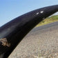 Home & Living > Home Decor > Wall Decor > Wall Hangings - 5'11" Longhorn Mounted Cattle Horns Steer Bull Western Texas Ran...