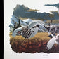 Art & Collectibles > Prints > Lithographs - Richard Sloan, Willow Ptarmigan, Signed Print, 28x22, Wade Collection, Plate 3...