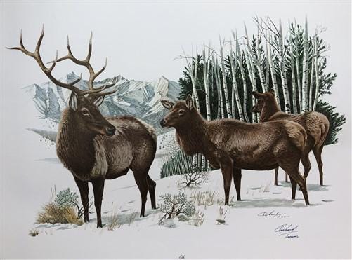 Art & Collectibles > Prints > Lithographs - Richard Timm, Elk, Signed Print, 28x22 Wade Collection, Plate 3 by The Old Gra...