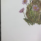 Art & Collectibles > Prints > Lithographs - Maryrose Wampler, Mountain Flowers, Signed Print, 28x22 Wall Art, Plate 30 by...