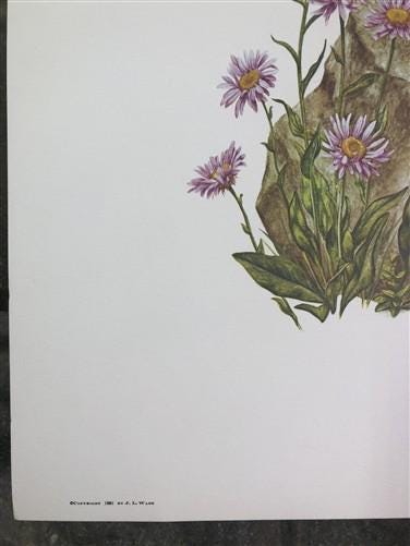 Art & Collectibles > Prints > Lithographs - Maryrose Wampler, Mountain Flowers, Signed Print, 28x22 Wall Art, Plate 30 by...