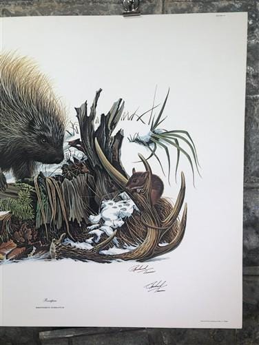 Art & Collectibles > Prints > Lithographs - Richard Timm, Porcupine, Signed Print, 28x22 Wade Collection, Plate 35 by The...