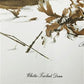 Art & Collectibles > Prints > Lithographs - Richard Timm, White Tailed Deer, Signed Print, 28x22 Wade Collection, Plate 7...