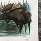 Art & Collectibles > Prints > Lithographs - Richard Timm, Alaska Moose, Signed Print, 28x22 Wade Collection, Plate 18 by T...