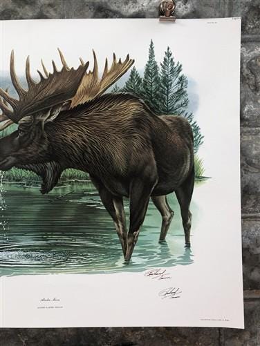 Art & Collectibles > Prints > Lithographs - Richard Timm, Alaska Moose, Signed Print, 28x22 Wade Collection, Plate 18 by T...