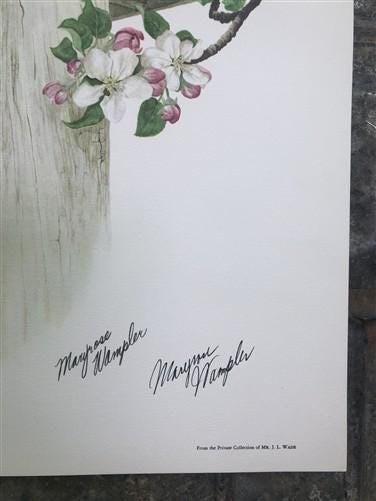 Art & Collectibles > Prints > Lithographs - Maryrose Wampler, Lilac Apple Blossom, Signed Print, 28x22, Wall Art, Plate 6...