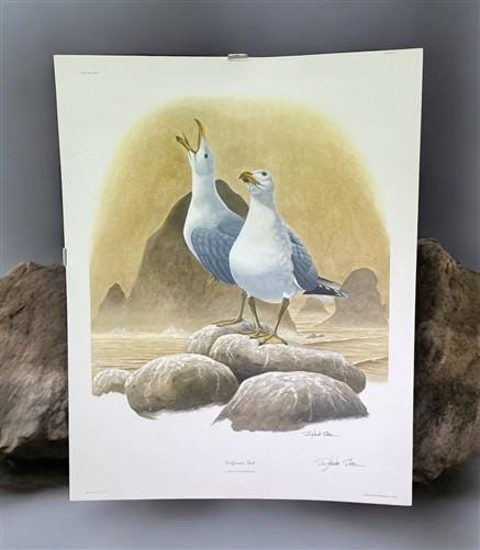 Art & Collectibles > Prints > Lithographs - Richard Sloan, California Gull, Signed Print, 28x22, Wade Collection, Plate 31...