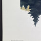 Art & Collectibles > Prints > Lithographs - Richard Sloan, Common Loon, Signed Print, 28x22, Wade Collection, Plate 29 by...