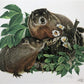 Art & Collectibles > Prints > Lithographs - Richard Timm, Woodchuck, Signed Print, 28x22 Wade Collection, Plate 28 by The...