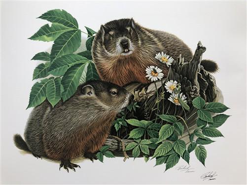 Art & Collectibles > Prints > Lithographs - Richard Timm, Woodchuck, Signed Print, 28x22 Wade Collection, Plate 28 by The...