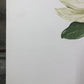 Art & Collectibles > Prints > Lithographs - Maryrose Wampler, Magnolia, Signed Print, 28x22 Wall Art, Plate 12 by The Old...