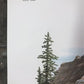 Art & Collectibles > Prints > Lithographs - Richard Timm, Pine Marten, Signed Print, 28x22 Wade Collection, Plate 39 by Th...