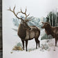 Art & Collectibles > Prints > Lithographs - Richard Timm, Elk, Signed Print, 28x22 Wade Collection, Plate 3 by The Old Gra...