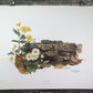 Art & Collectibles > Prints > Lithographs - Maryrose Wampler, Daisy Mum, Signed Print, 28x22 Wall Art, Plate 4 by The Old...