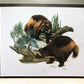 Art & Collectibles > Prints > Lithographs - Richard Timm, Wolverine, Signed Print, 28x22 Wade Collection, Plate 14 by The...