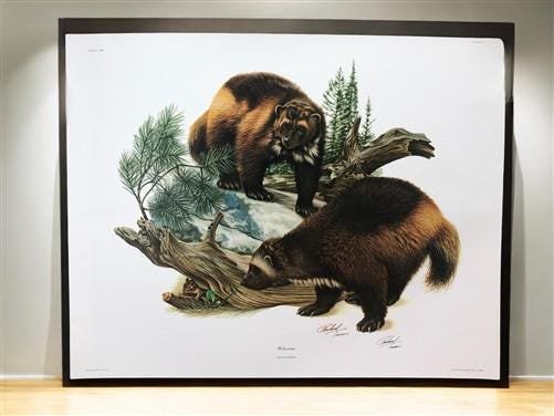 Art & Collectibles > Prints > Lithographs - Richard Timm, Wolverine, Signed Print, 28x22 Wade Collection, Plate 14 by The...