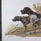 Ernest Hart, German Pointers, Signed Dog Print, 28x22, Wade Collection, Plate 3