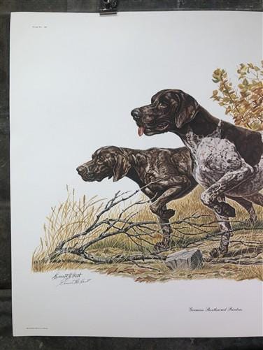 Ernest Hart, German Pointers, Signed Dog Print, 28x22, Wade Collection, Plate 3