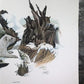 Art & Collectibles > Prints > Lithographs - Richard Timm, Longtail Weasel, Signed Print, 28x22 Wade Collection, Plate 37 b...