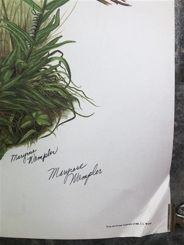 Maryrose Wampler, Black Eyed Susan, Signed Print, 28x22, Wall Art, Plate 1