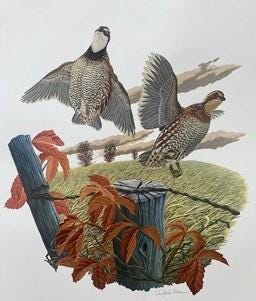 Art & Collectibles > Prints > Lithographs - Richard Sloan, Bobwhite, Signed Print, 28x22, Wade Collection, Plate 21 by The...