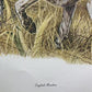 Art & Collectibles > Prints > Lithographs - Ernest Hart, English Pointer, Signed Dog Print, 28x22, Wade Collection, Plate...