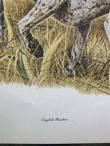Art & Collectibles > Prints > Lithographs - Ernest Hart, English Pointer, Signed Dog Print, 28x22, Wade Collection, Plate...