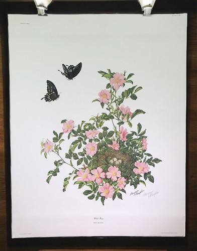 Art & Collectibles > Prints > Lithographs - Maryrose Wampler, Wild Rose, Signed Print, 28x22 Wall Art, Plate 22 by The Old...