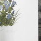 Art & Collectibles > Prints > Lithographs - Maryrose Wampler, Mountain Flowers, Signed Print, 28x22 Wall Art, Plate 30 by...