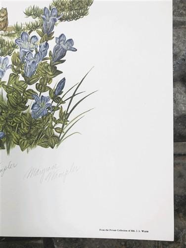 Art & Collectibles > Prints > Lithographs - Maryrose Wampler, Mountain Flowers, Signed Print, 28x22 Wall Art, Plate 30 by...