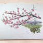 Maryrose Wampler, Peach Blossom, Signed Print, 28x22 Wall Art, Plate 16