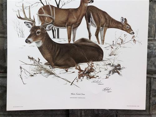 Art & Collectibles > Prints > Lithographs - Richard Timm, White Tailed Deer, Signed Print, 28x22 Wade Collection, Plate 7...