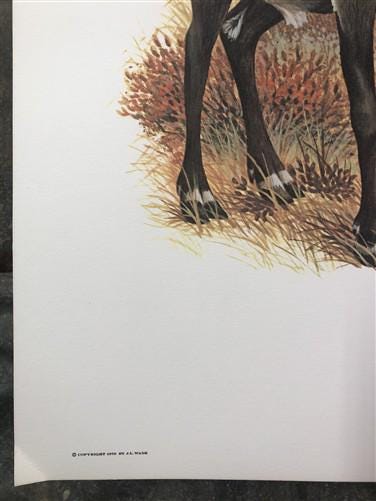 Art & Collectibles > Prints > Lithographs - Richard Timm, Ground Caribou, Signed Print, 28x22 Wade Collection, Plate 36 by...
