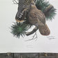 Art & Collectibles > Prints > Lithographs - Richard Sloan, Spruce Grouse, Signed Print, 28x22, Wade Collection, Plate 39 b...