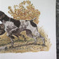 Ernest Hart, German Pointers, Signed Dog Print, 28x22, Wade Collection, Plate 3