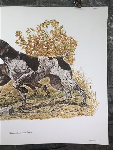 Ernest Hart, German Pointers, Signed Dog Print, 28x22, Wade Collection, Plate 3