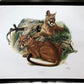 Art & Collectibles > Prints > Lithographs - Richard Timm, Mountain Lion, Signed Print, 28x22 Wade Collection, Plate 12 by...