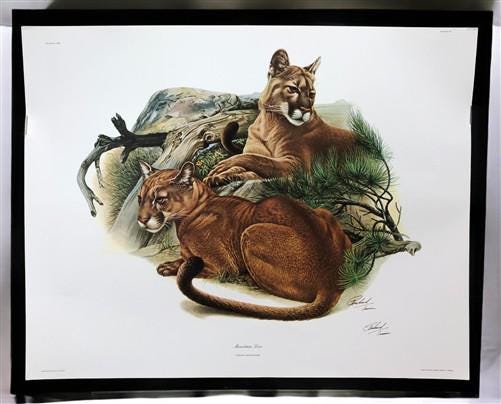 Art & Collectibles > Prints > Lithographs - Richard Timm, Mountain Lion, Signed Print, 28x22 Wade Collection, Plate 12 by...
