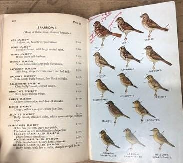 1861-1938 Book Lot, History Language Songbooks Tool Catalog Fiction Poetry B