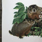 Art & Collectibles > Prints > Lithographs - Richard Timm, Woodchuck, Signed Print, 28x22 Wade Collection, Plate 28 by The...