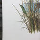 Art & Collectibles > Prints > Lithographs - Maryrose Wampler, Dune Flowers, Signed Print, 28x22 Wall Art, Plate 20 by The...