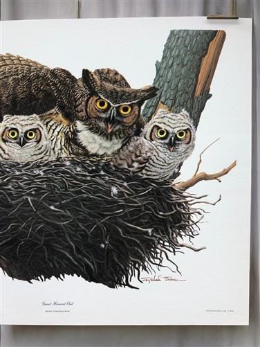 Art & Collectibles > Prints > Lithographs - Richard Sloan, Great Horned Owl, Signed Print, 11x14, Essay, Sketches, Plate 7...