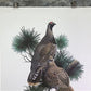 Art & Collectibles > Prints > Lithographs - Richard Sloan, Spruce Grouse, Signed Print, 28x22, Wade Collection, Plate 39 b...