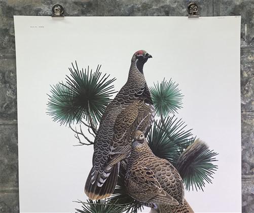 Art & Collectibles > Prints > Lithographs - Richard Sloan, Spruce Grouse, Signed Print, 28x22, Wade Collection, Plate 39 b...
