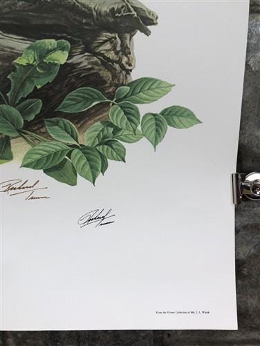 Art & Collectibles > Prints > Lithographs - Richard Timm, Gray Fox, Signed Print, 28x22 Wade Collection, Plate 19 by The O...