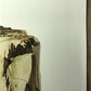 Art & Collectibles > Prints > Lithographs - Richard Timm, Striped Skunk, Signed Print, 28x22 Wade Collection, Plate 4 by T...