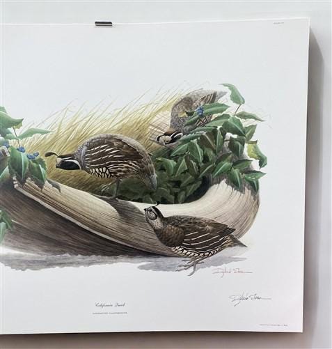 Richard Sloan, California Quail, Signed Print, 28x22, Wade Collection, Plate 27