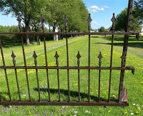Wrought Iron Vintage Fence Panel (85.5x37) Architectural Salvage, Garden Art A31