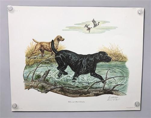 Art & Collectibles > Prints > Lithographs - 5 Ernest Hart Signed Dog Prints, 28x22 Wade Collection Lithograph Plates 1-5 b...